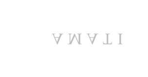 Amati-europa-Logo